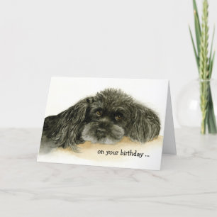 Humourous Birthday with Lovable Poodle Card