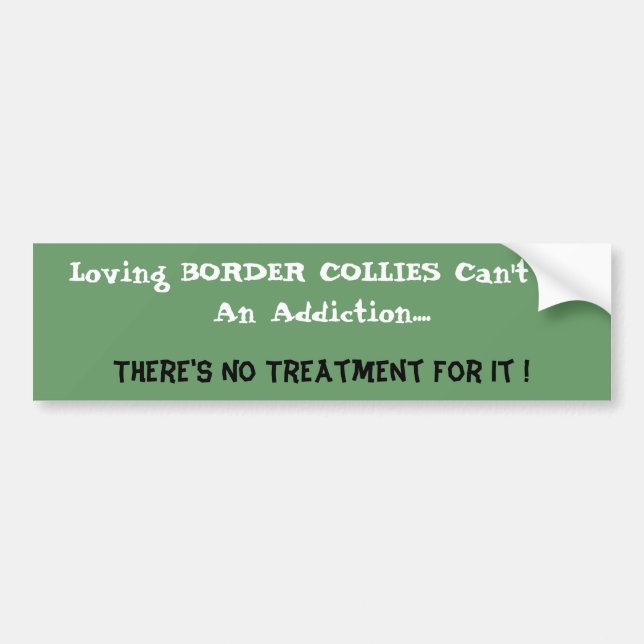 Humourous Border Collie Bumper Sticker (Front)