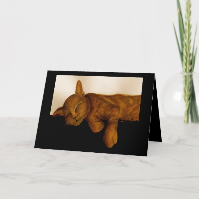 Humourous Cat Nap Birthday card (Front)