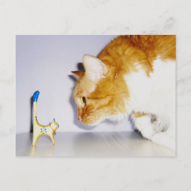 Humourous Cat Staring at Wooden Kitty Statue Postcard (Front)