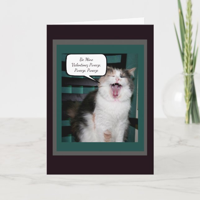 Humourous Cat Valentines Holiday Card (Front)