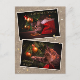 Humourous Christmas Cat Postcard