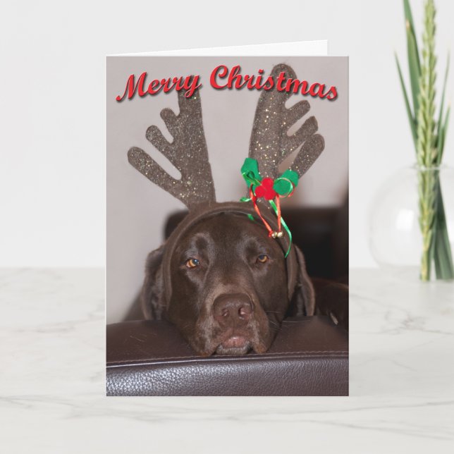 Humourous Christmas Labrador With Glitter Antlers Holiday Card (Front)