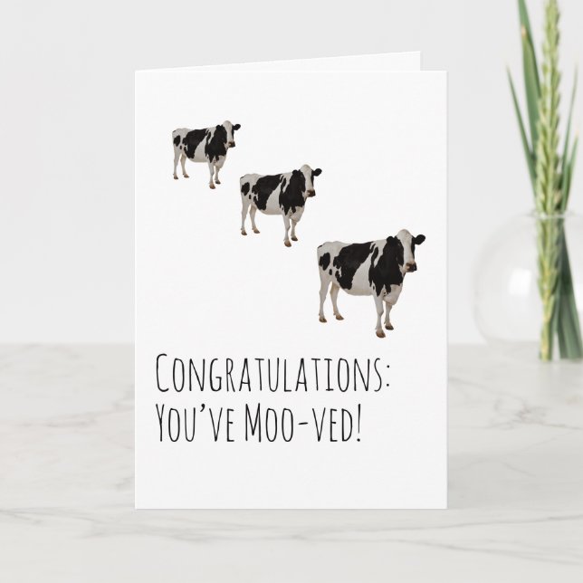 Humourous Cow Moving House Card (Front)