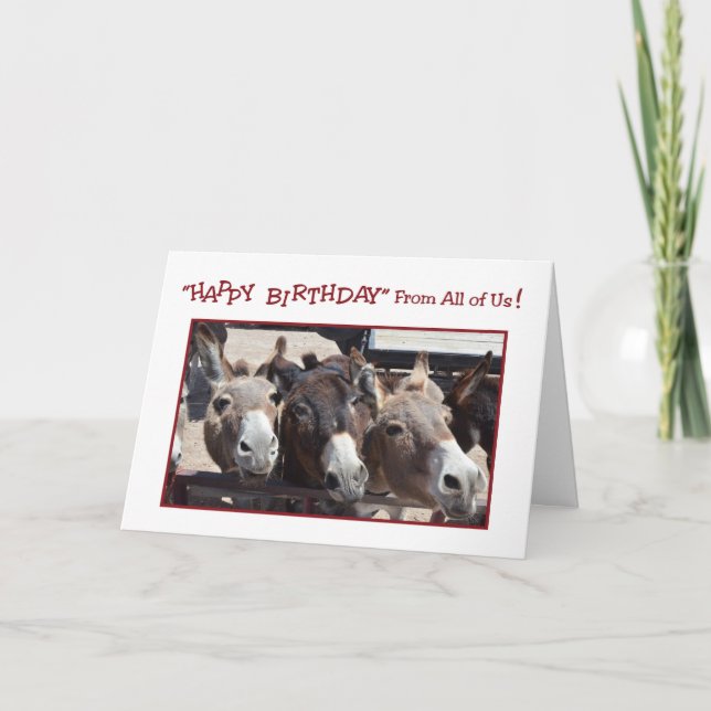 Humourous Donkey Group Birthday, From All of Us Card (Front)