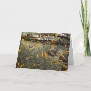 Humourous Fish Birthday Card