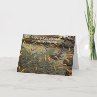 Humourous Fish Birthday Card