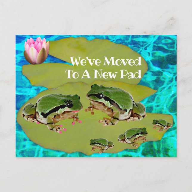 Humourous Frog Family On Lily Pad We've Moved Postcard (Front)