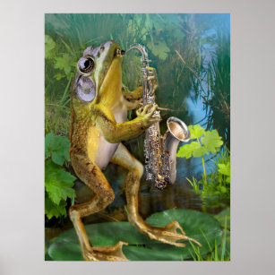 Humourous Frog Plying Saxophone Poster