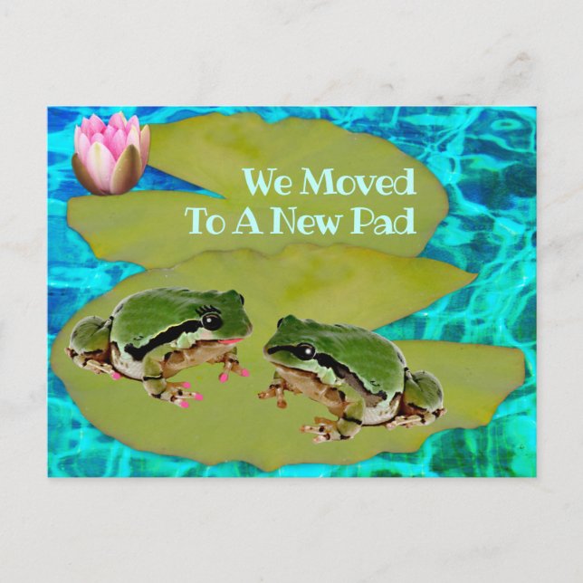 Humourous Frogs Lilies Pad We Moved Announcement Postcard (Front)