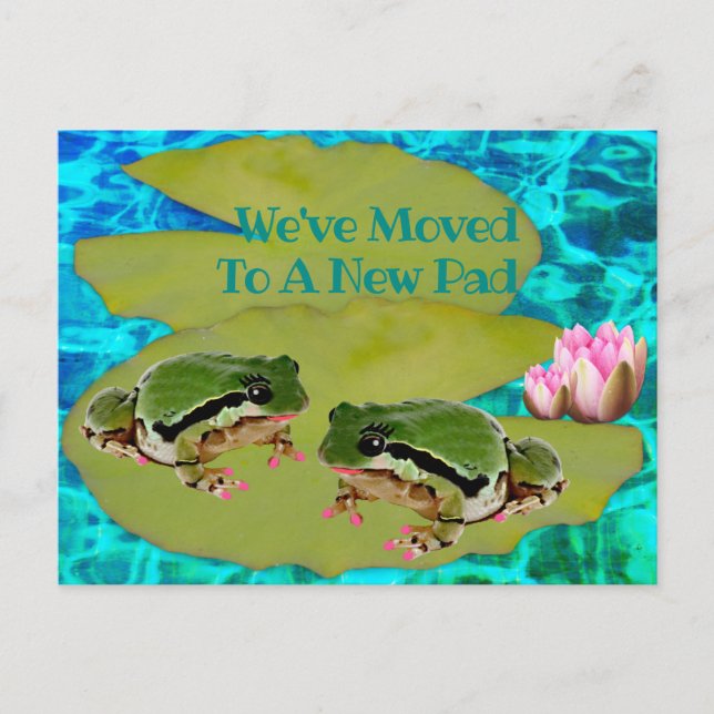 Humourous Frogs Lilies Pad We Moved Announcement Postcard (Front)