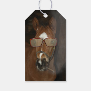 Humourous Horse Foal Smoking Cigar Gift Tag