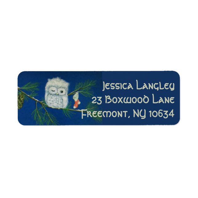 Humourous owl Christmas stocking address label (Front)