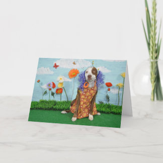 Humourous photo of dog in clothing, birthday card
