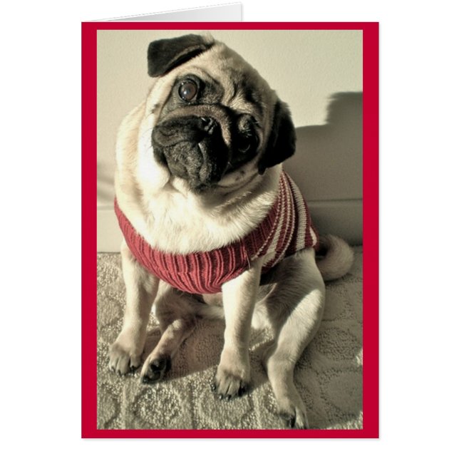 Humourous Pug Valentine Card (Front)