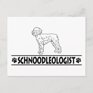 Humourous Schnoodle Postcard