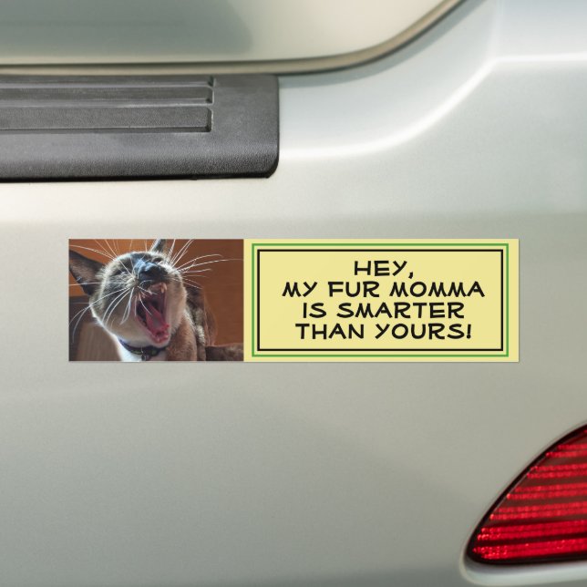 Humourous Siamese Kitten Close-Up Photo Template Bumper Sticker (On Car)