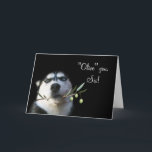 Humourous Sister Happy Birthday Card<br><div class="desc">A fun way to say "olive" you to your sister on her birthday.  A cute husky holding an olive branch and the pun of olive vs. I love.  Sure to bring a smile to your sister on her birthday.</div>