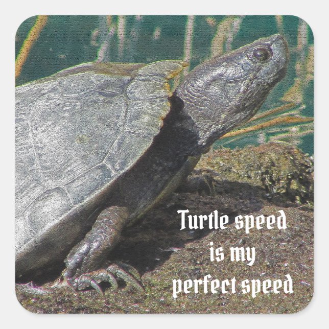 Humourous Turtle Speed is my Favourite Speed Anima Square Sticker (Front)