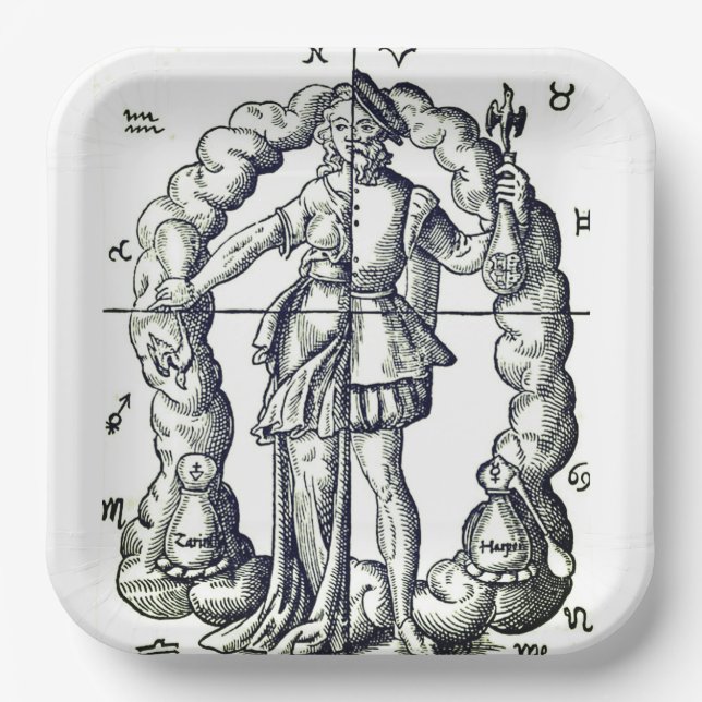 Humourous vintage illustration of zodiac signs  paper plate (Front)