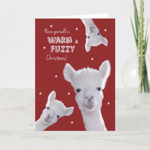 Humourous Warm & Fuzzy Christmas Card with Llamas