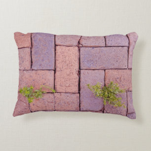 Humourous Weeds Paving Stones Walkway Pattern Accent Pillow
