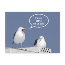 Humourous Yelling Seagull Funny Post Card