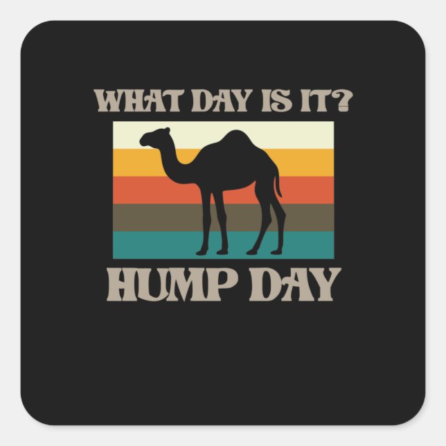 Hump Day Camel Animal Lover Camels Pet Owner Graph Square Sticker (Front)