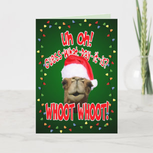 Hump Day Camel Christmas Greeting Cards