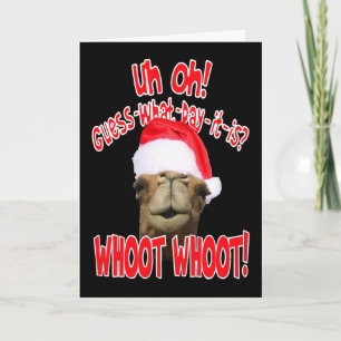 Hump Day Camel Christmas Greeting Cards