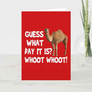 Hump Day Camel Devinez Quel Jour C'Est La Carte