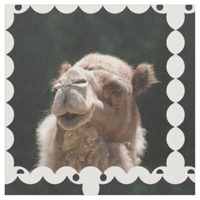 Hump Day Camel Fabric (Close Up)