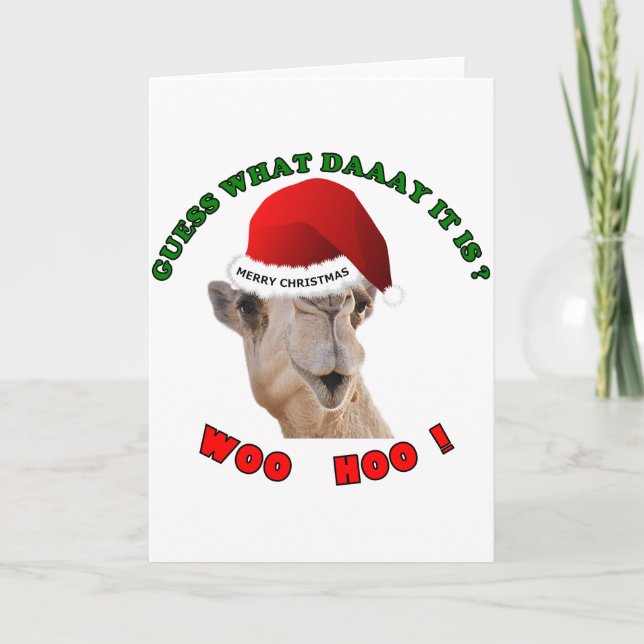 hump day camel merry christmas holiday card (Front)