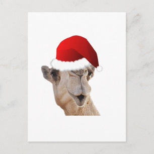 Hump Day Camel Santa Claus Hat Holiday Postcard