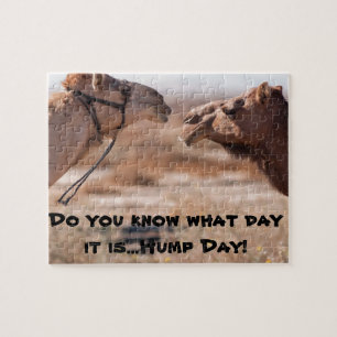 Hump Day Camels Jigsaw Puzzle