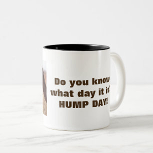 Hump Day Camels Two-Tone Coffee Mug