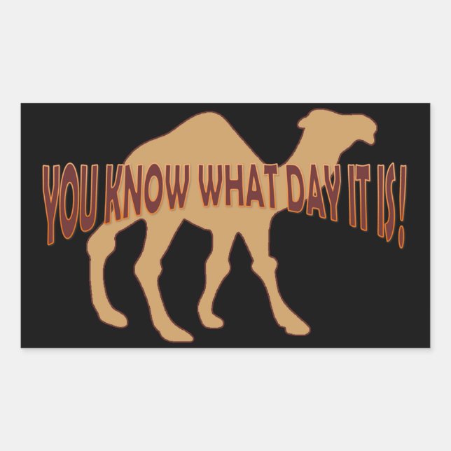 HUMP DAY HUMP DAY CAMEL STICKER (Front)