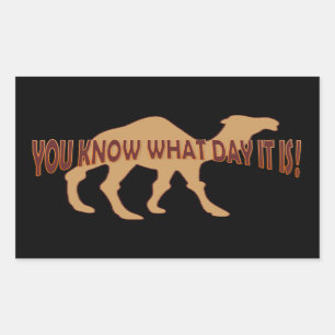 HUMP DAY HUMP DAY CAMEL STICKER