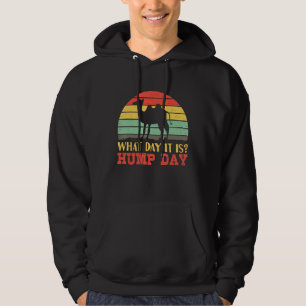 Hump Day Wednesday for a Wednesday Camel Hoodie