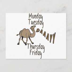 Hump Day Week Days Postcard