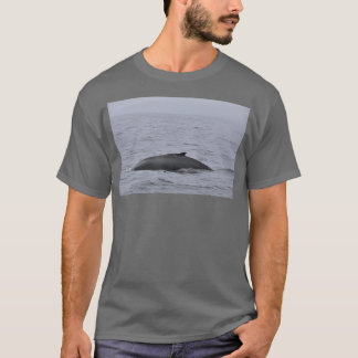 Humpback comes out of the Water T-Shirt
