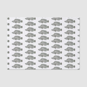 Humpback grouper fish cartoon illustration tissue paper
