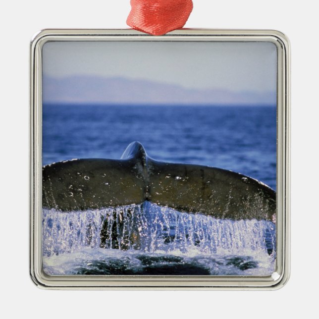 Humpback tail. metal ornament (Front)