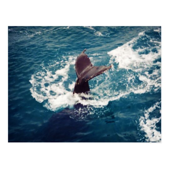 Humpback Tail, postcard