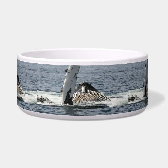 Humpback Whale (Front)