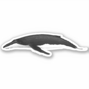 HUMPBACK WHALE