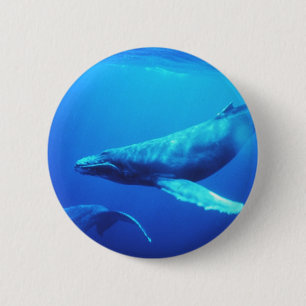 Humpback Whale 2 Inch Round Button