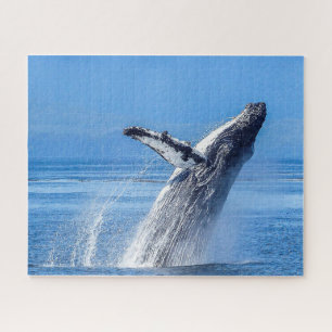 Humpback Whale Alaska Jigsaw Puzzle