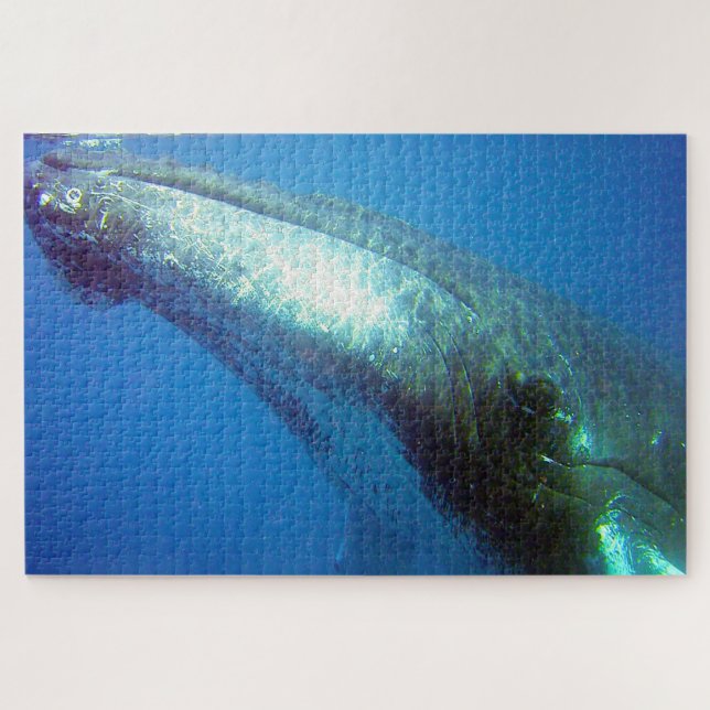 Humpback Whale Alaska Jigsaw Puzzle (Horizontal)
