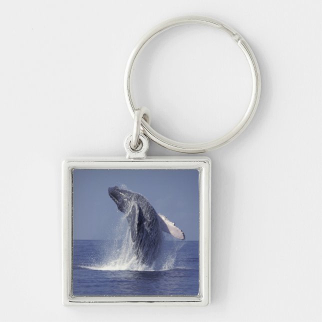 Humpback whale breaching (Megaptera Keychain (Front)